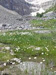 Cdn Rockies Adventure (Aug 2010) - Banff - 034
